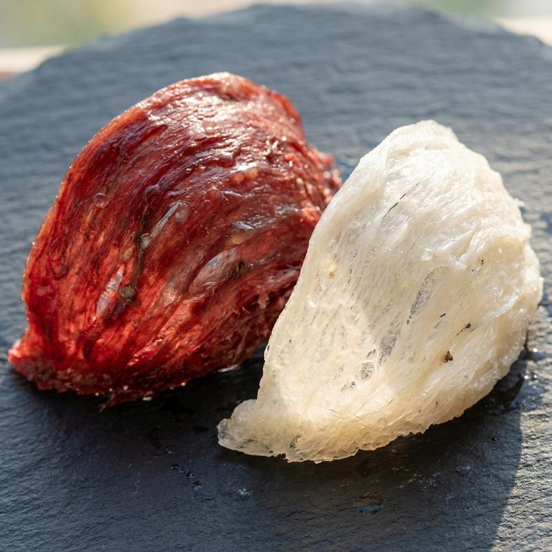 So Sánh Yến Huyết Đảo Và Yến Trắng Đảo: Loại Nào Thực Sự Bổ Dưỡng Hơn?