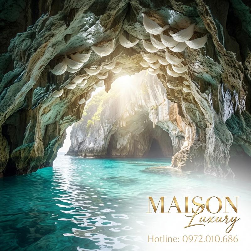 Yến Đảo Tự Nhiên: Giải Pháp Vàng Cho Phục Hồi Chức Năng Phổi