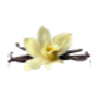 Dành dành
