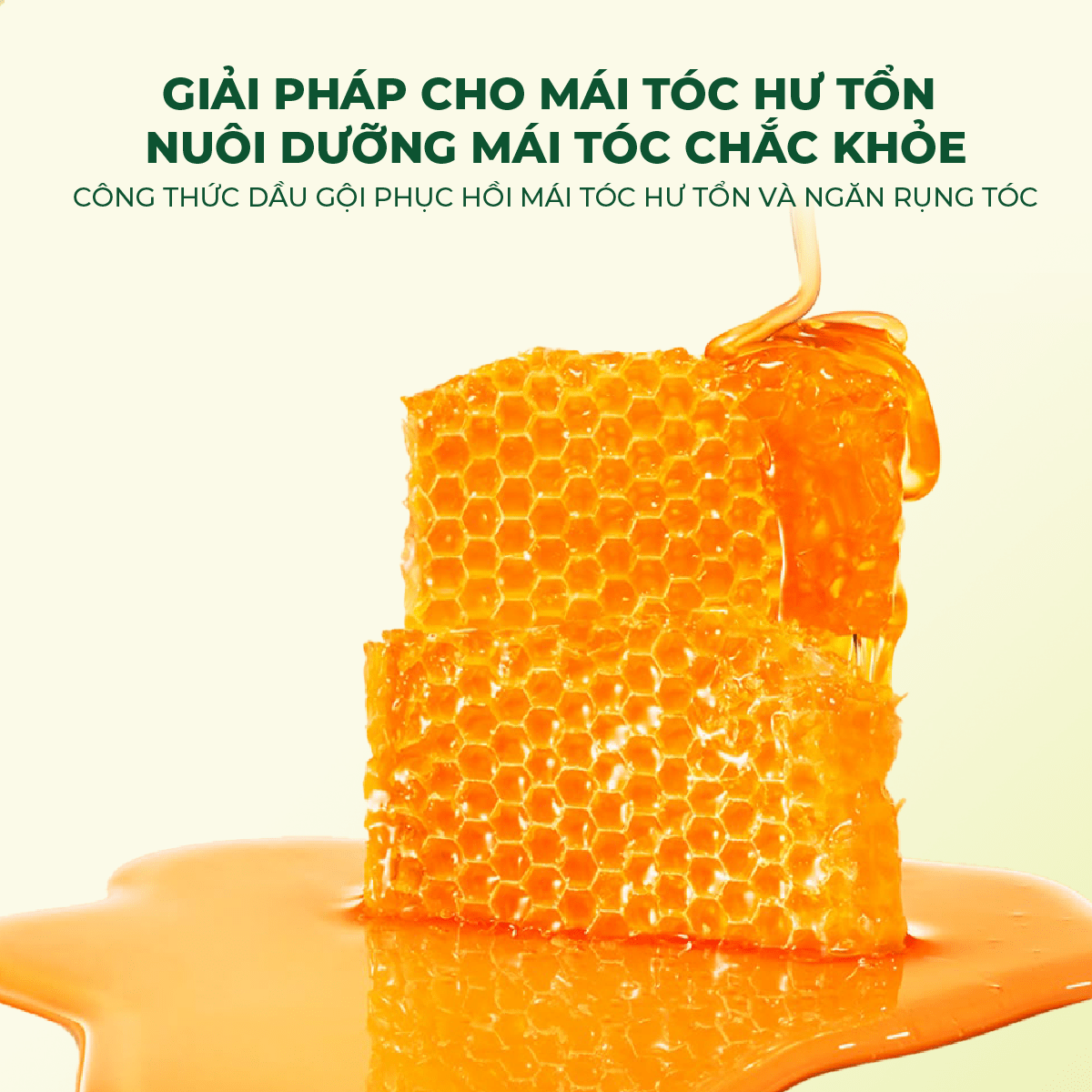 Bộ Đôi Gội Xả Mật Ong NARA 500ML Hỗ Trợ Mọc Tóc, Phục Hồi Hư Tổn Và Cải Thiện Tình Trạng Gàu Ngứa