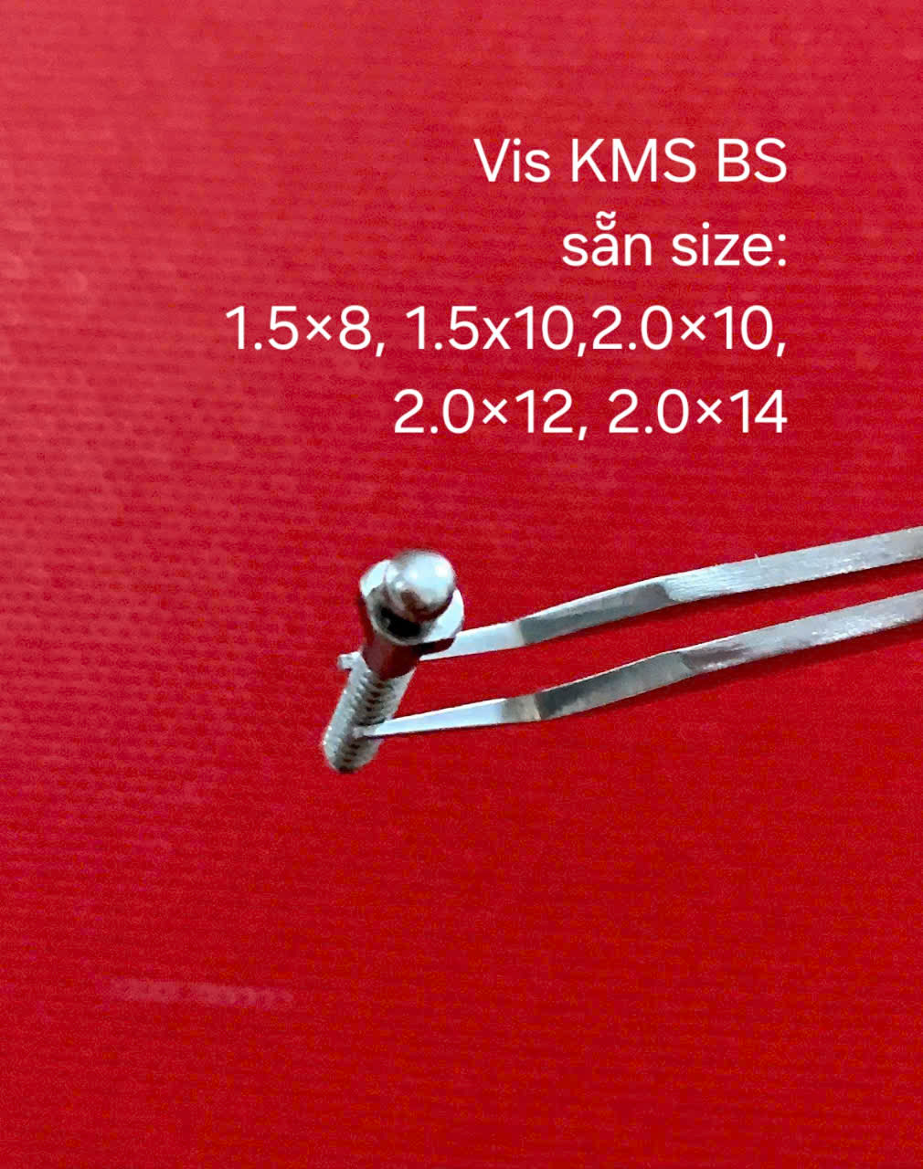 Vis KMS-BS_W&H Tech