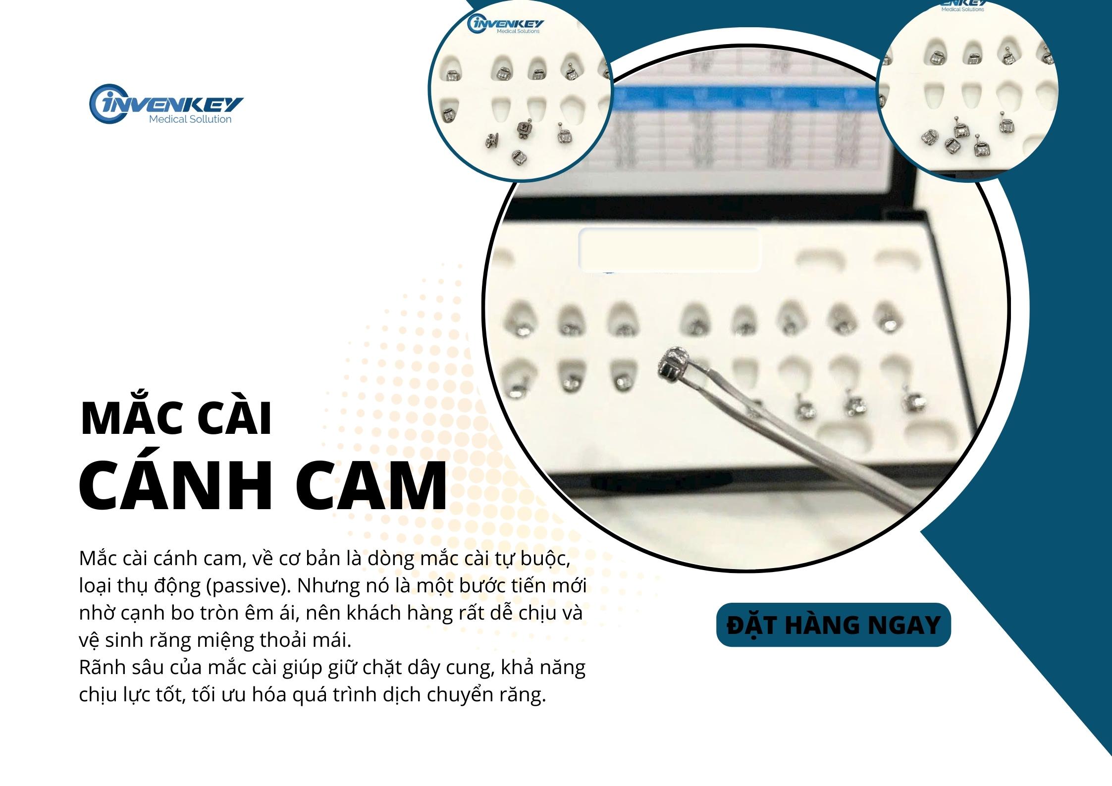 Mắc cài tự đóng cánh cam cải tiến Ludwig