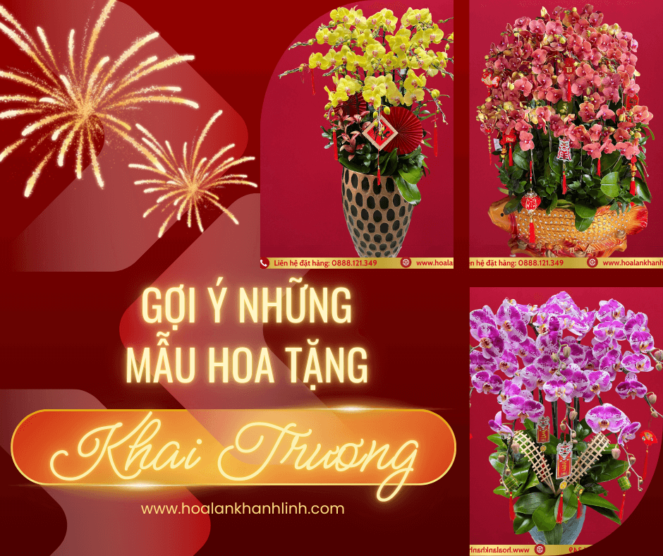 GỢI Ý NHỮNG MẪU HOA LAN TẶNG DỊP KHAI TRƯƠNG