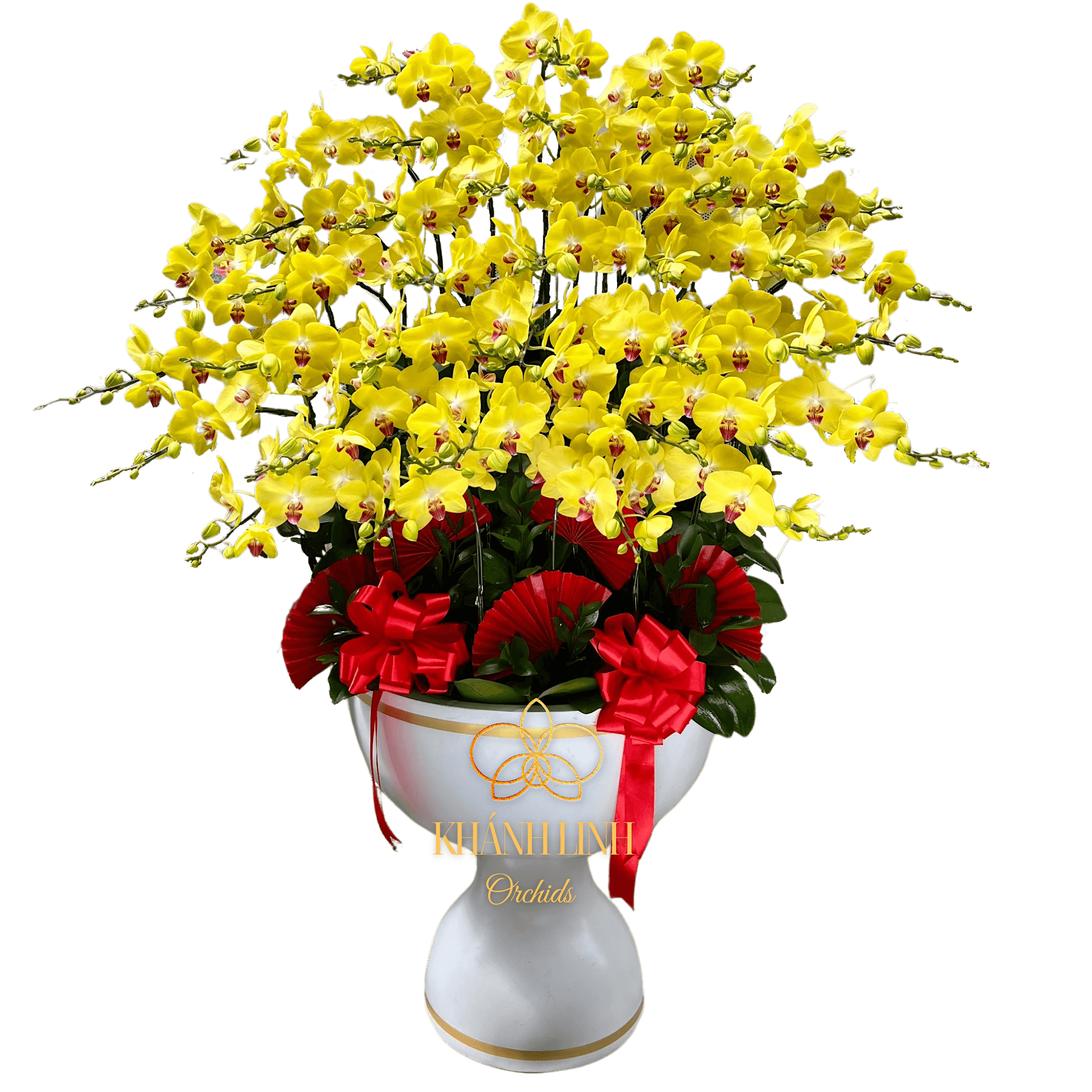 Lan Hồ Điệp Vàng A42 40 Cành - Vạn Sự Cát Tường - HDV005