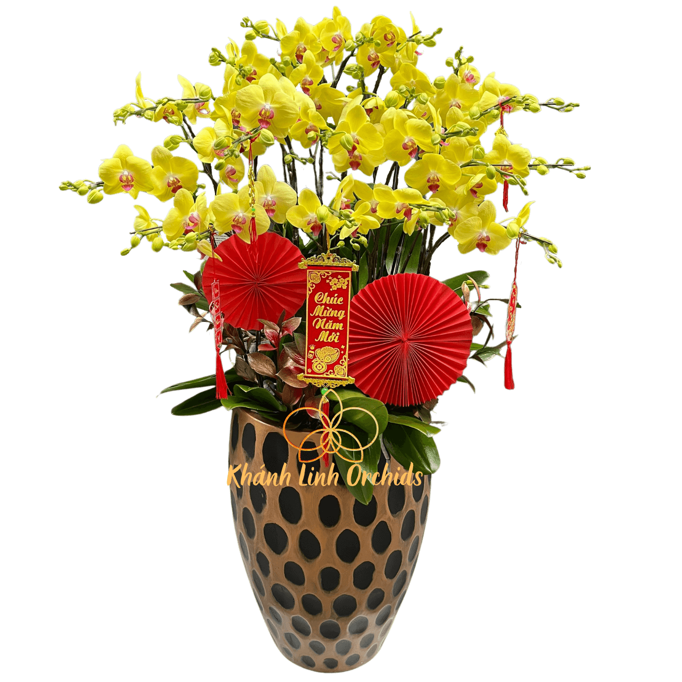 Lan Hồ Điệp Vàng 15 Cành - Niên Niên Như Ý Xuân - HDV022