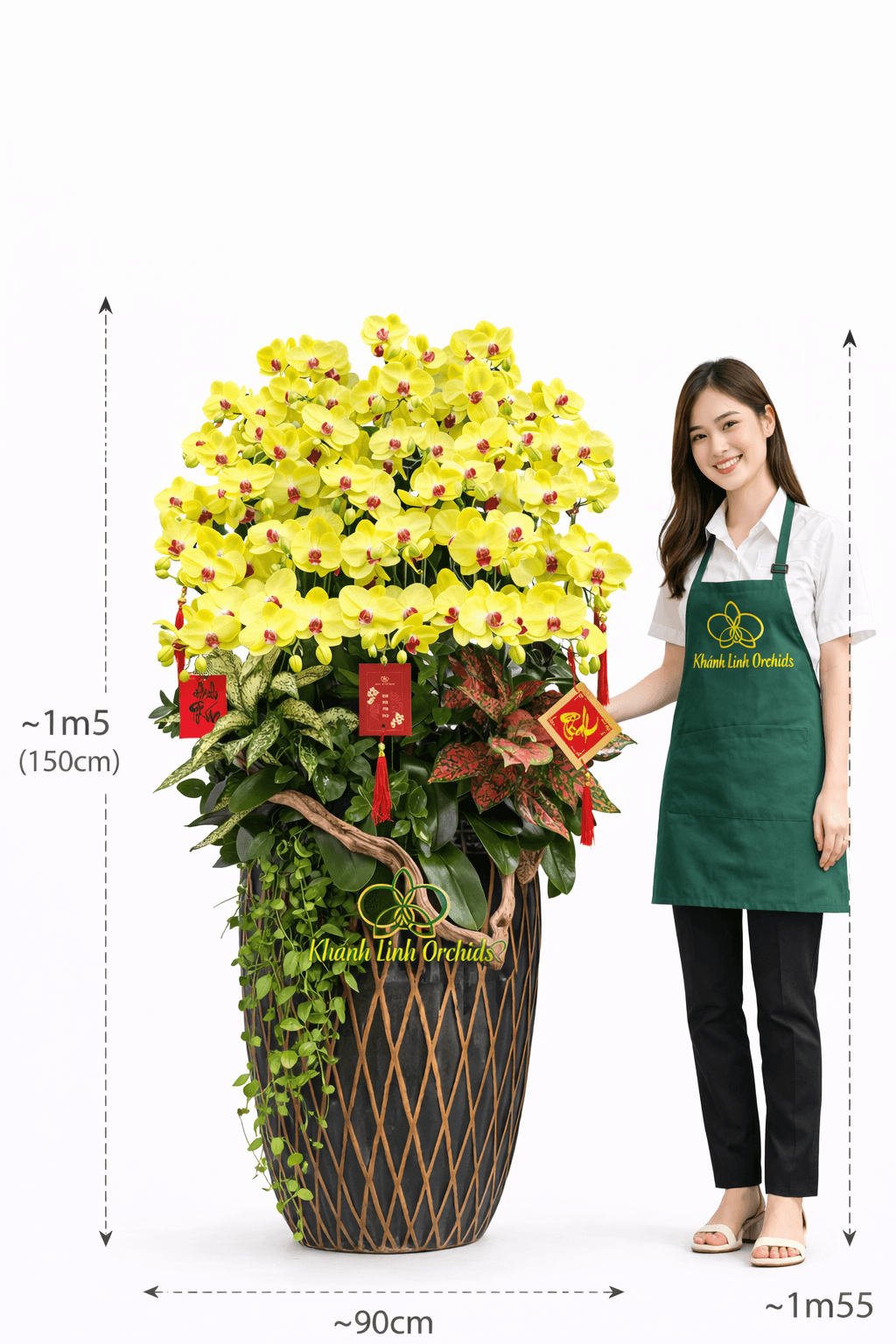 Lan Hồ Điệp Vàng Chanh 30 Cành - HDV107