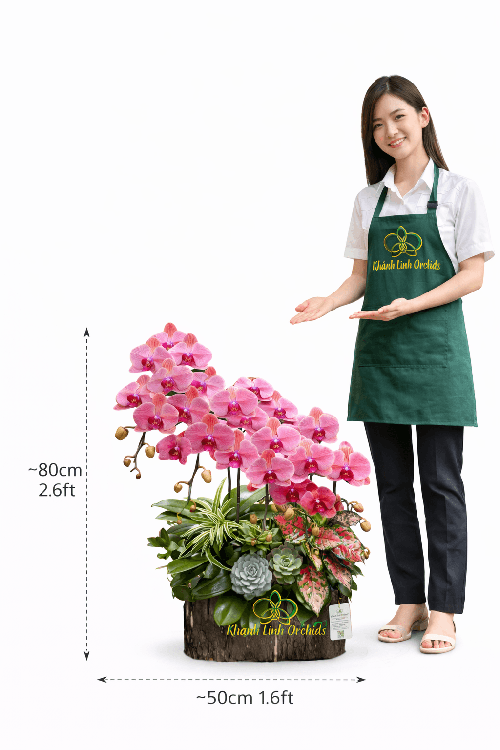 Lan Hồ Điệp Đỏ Cam 5 Cành - HDC038