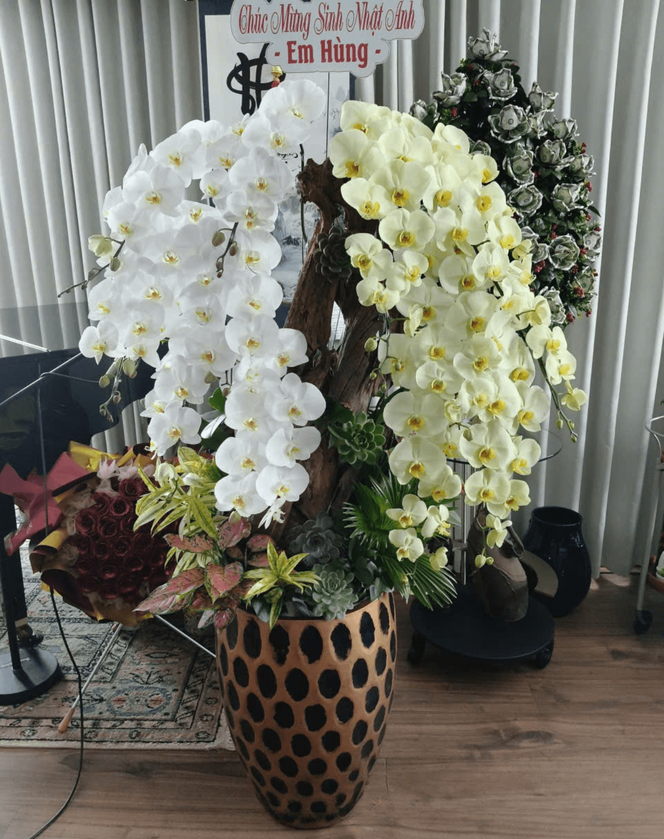 Lan Hồ Điệp Trắng Phối Xanh Bơ Tiểu Cảnh 14 Cành - DS053