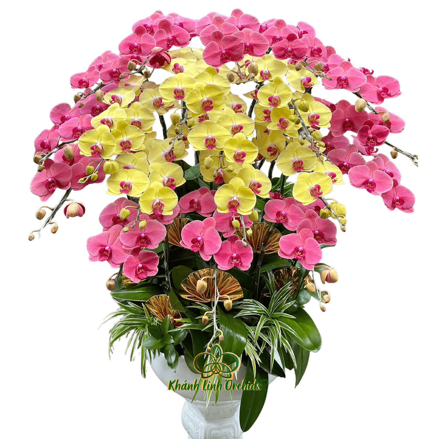 Lan Hồ Điệp Đỏ Cam Phối Vàng 20 Cành - DS044
