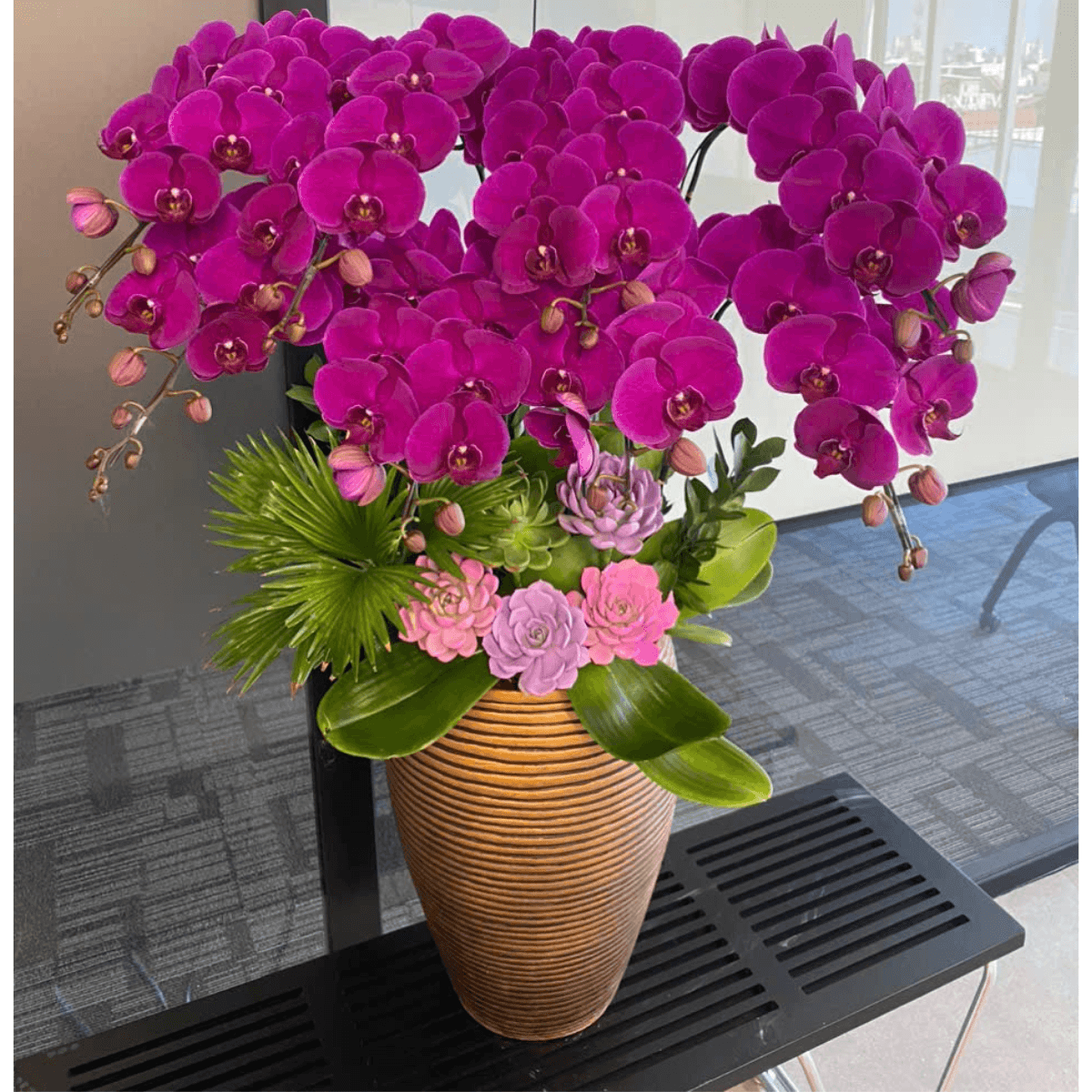 Lan Hồ Điệp Tím Đỏ Ớt 8 Cành - HDT049