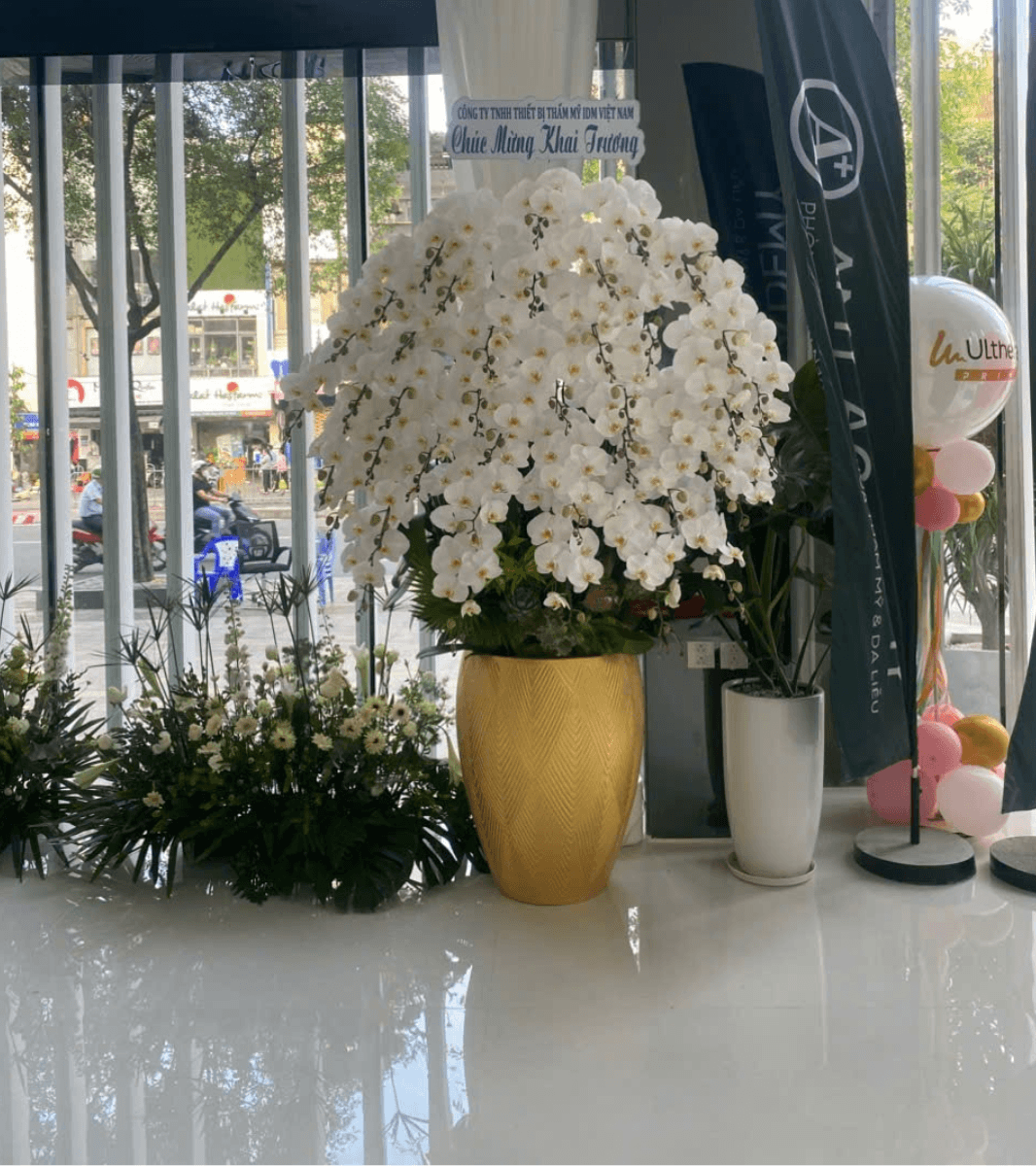 Lan Hồ Điệp Trắng 40 Cành - HDW066