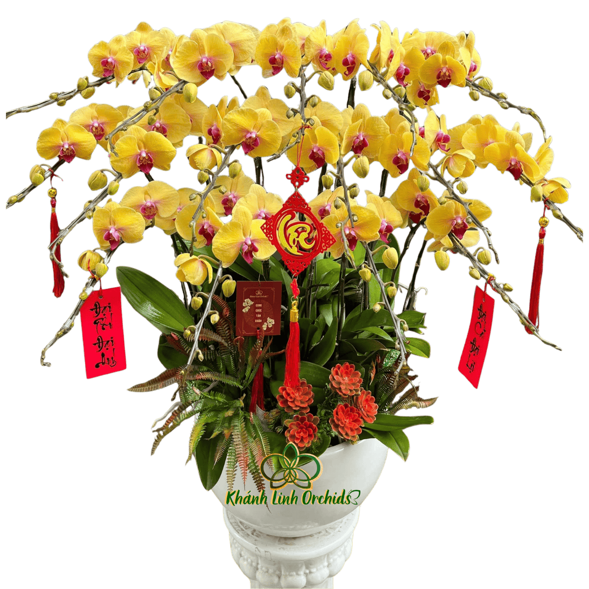 Lan Hồ Điệp Vàng Nghệ 15 Cành - HDV106