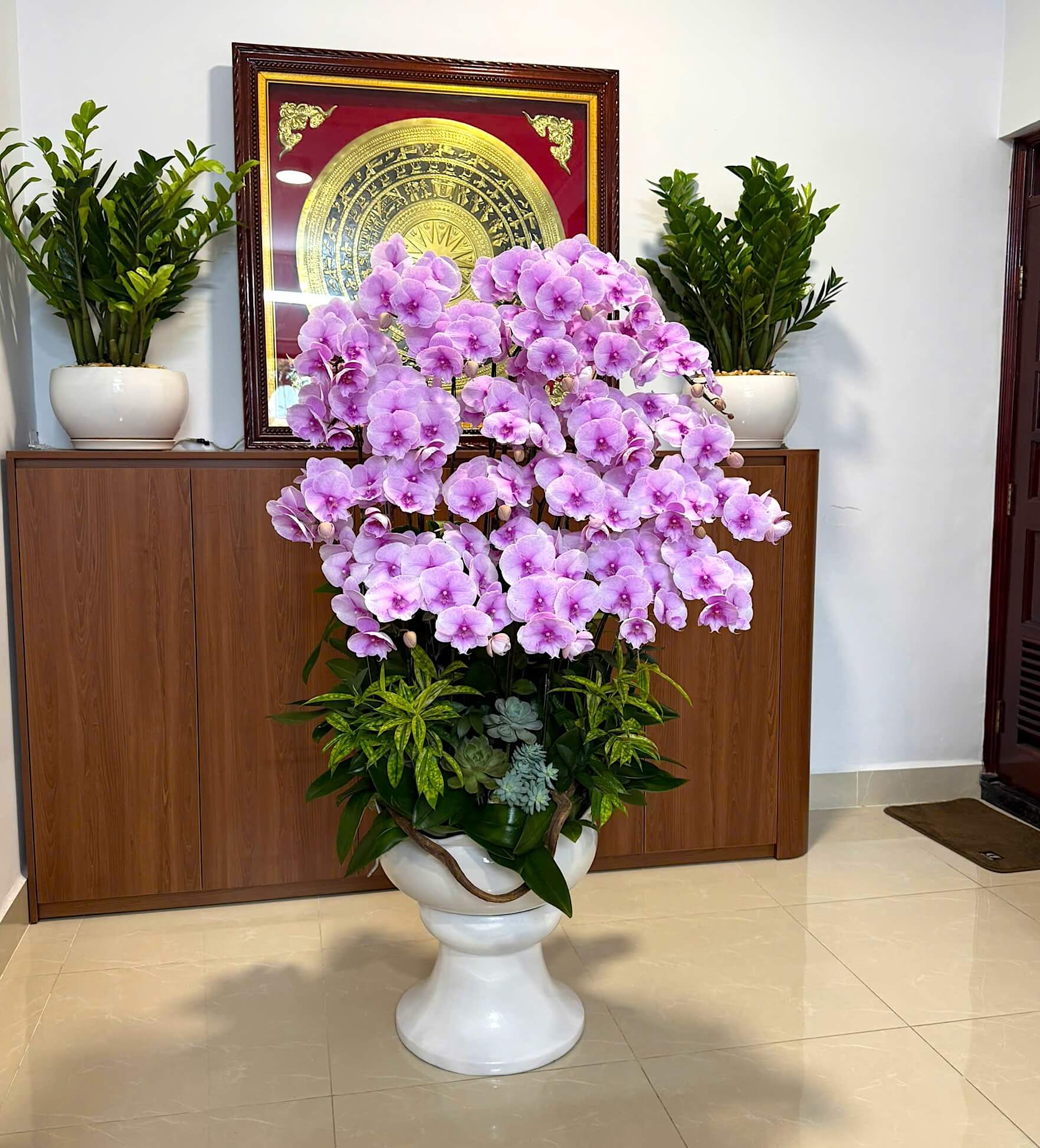 Lan Hồ Điệp Hồng Baby 25 cành - HDH065