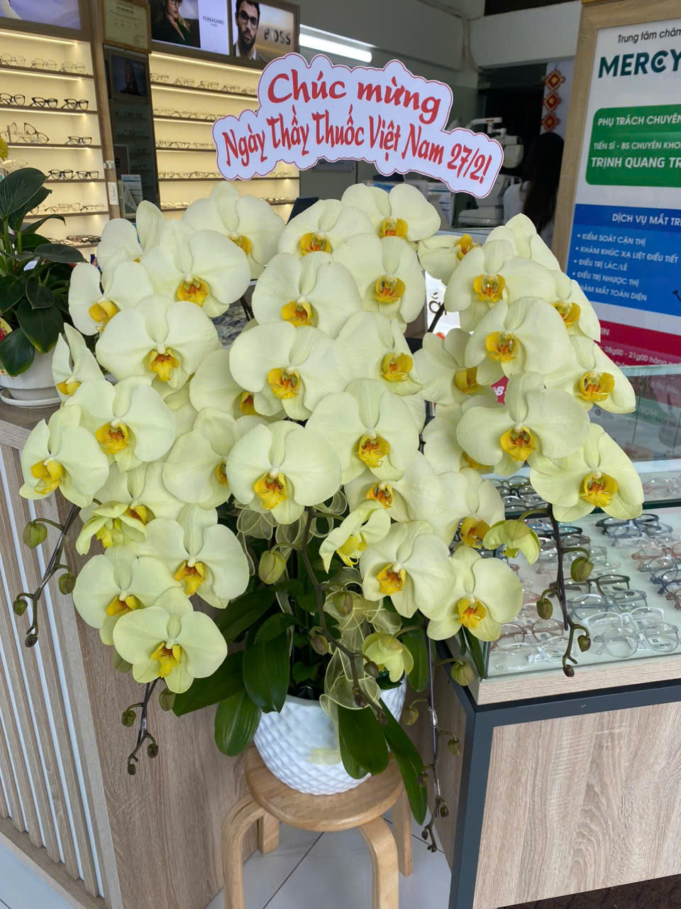 Lan Hồ Điệp Xanh Bơ 5 Cành - HDX030