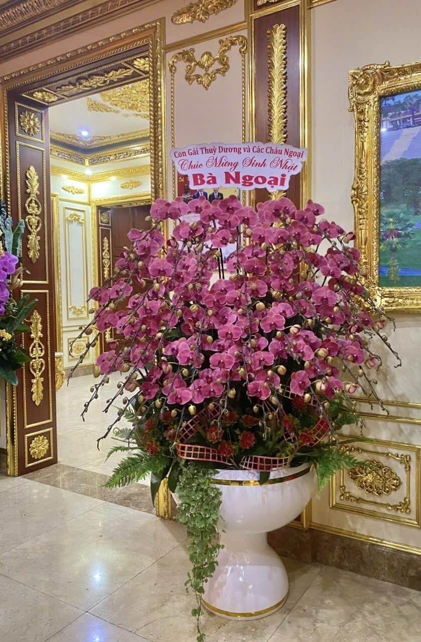 Lan Hồ Điệp Đỏ Cam 50 Cành - HDC043