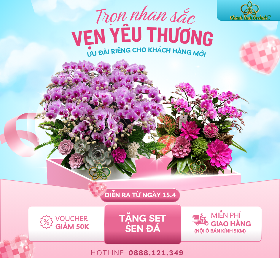 BST Vạn Sự Cát Tường 
