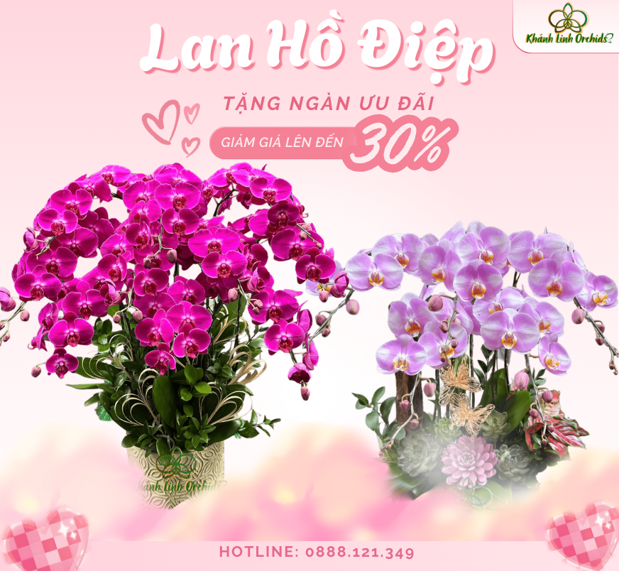 BST Cung Chúc Tân Xuân