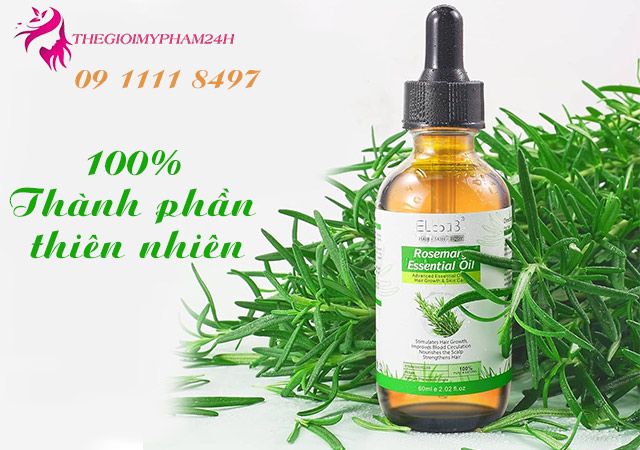 thành phần rosemary essential oil