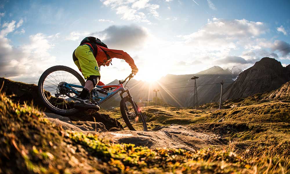 Top xe đạp địa hình mới nhất năm 2020