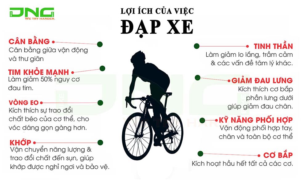 Lợi ích của việc đạp xe đối với sức khỏe bạn nên biết