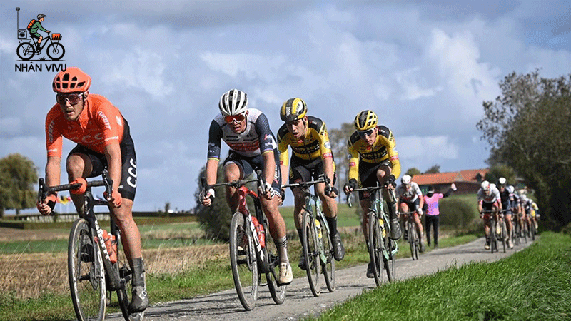 Nên Mua Xe Đạp Đua Loại Nào? Gợi Ý 5 Dòng Xe Hot Nhất