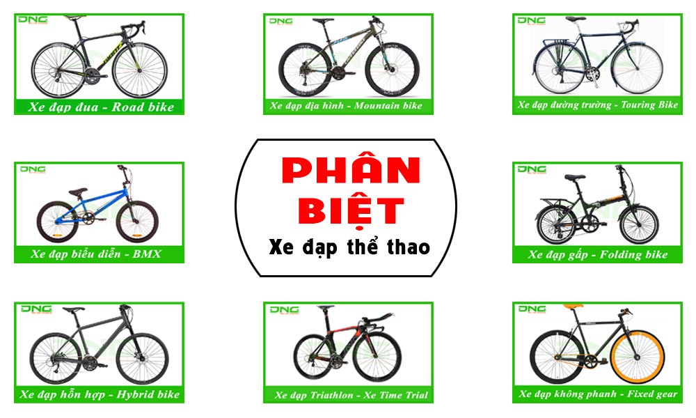 Cách phân biệt các dòng xe đạp thể thao hiện nay
