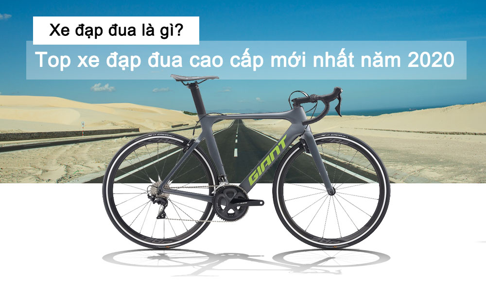 Xe đạp đua là gì? Top xe đạp đua mới nhất năm 2020