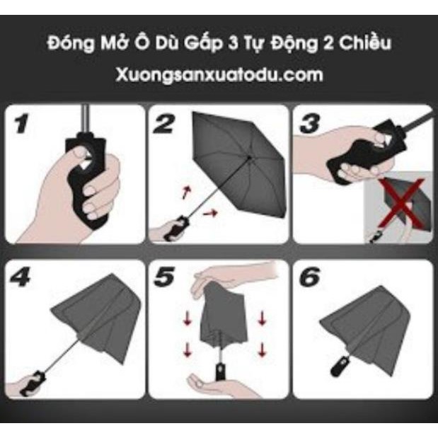 Dù Bấm Tự Động Nhật