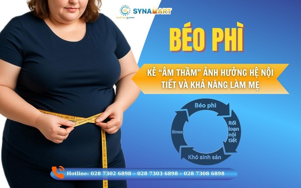 Béo phì và nội tiết tố: Mối liên hệ âm thầm và cách cải thiện từ lối sống