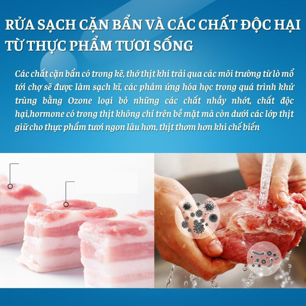 Máy khử khuẩn thực phẩm Vamia 11L máy rửa rau củ hoa quả