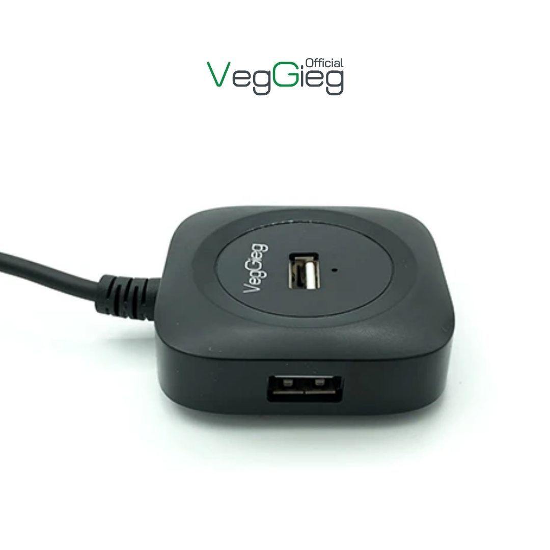 Bộ Chia/ Hub USB 2.0 ra 4 Cổng USB 2.0 - V-U2406