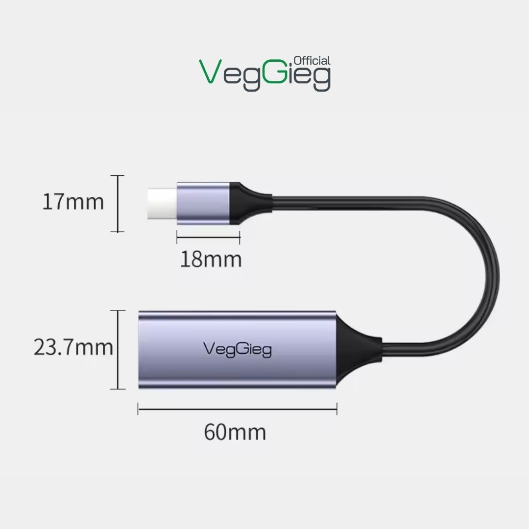 Cáp Chuyển Type-C 3.0 sang LAN VegGieg V-K308