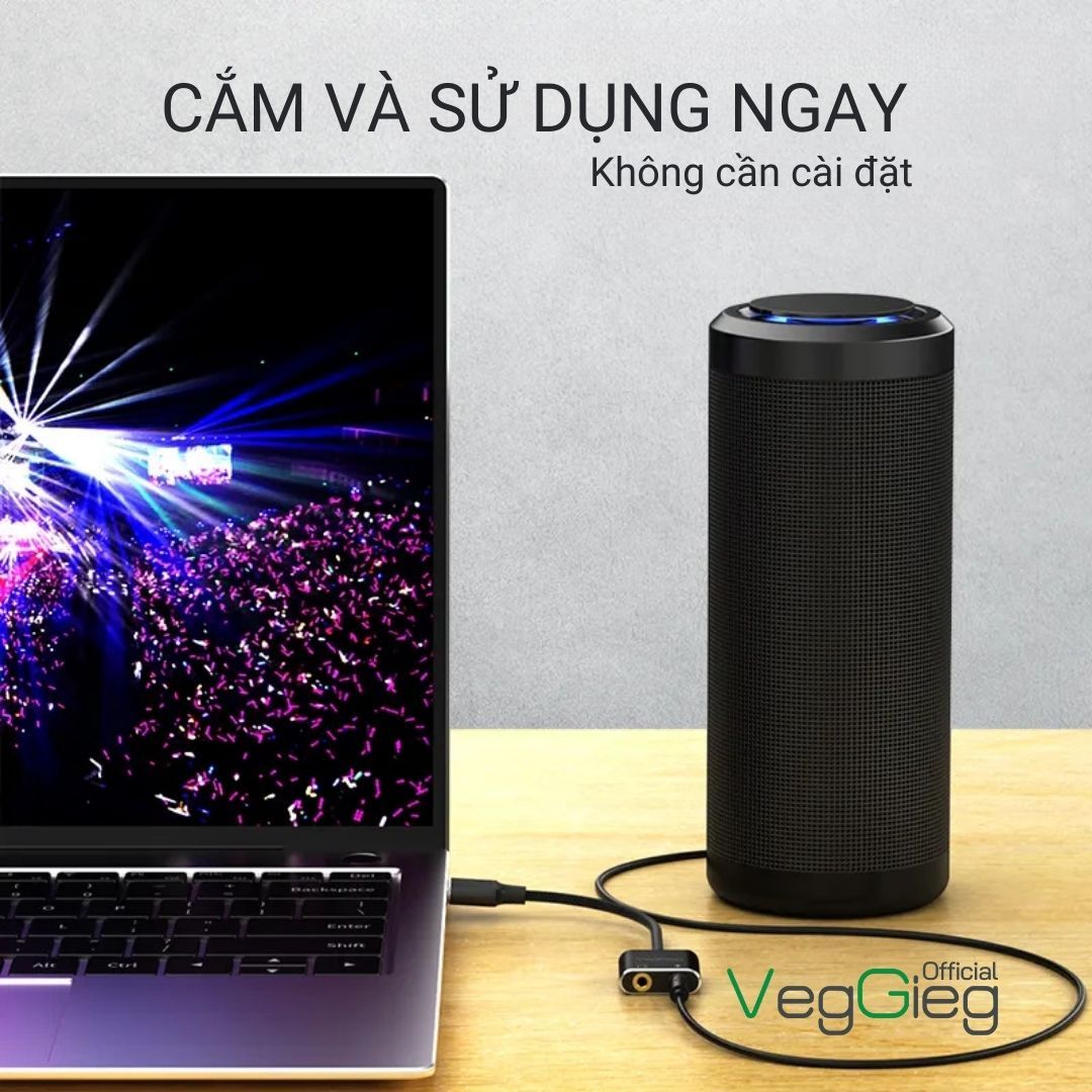 Bộ chuyển đổi Âm thanh VegGieg USB 2.0 sang AUDIO 3.5mm + Mic V-K104