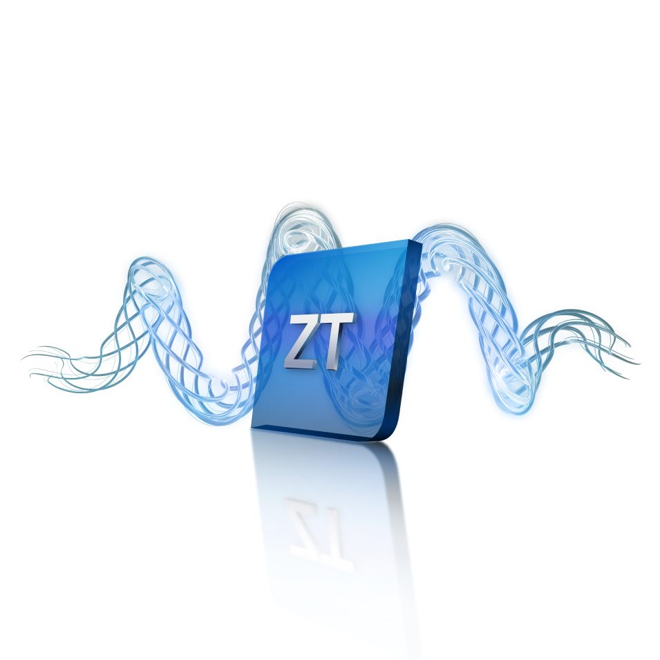 Zero Trust Network Access (ZTNA)