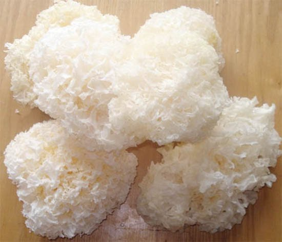 Nấm tuyết bông gói 100g