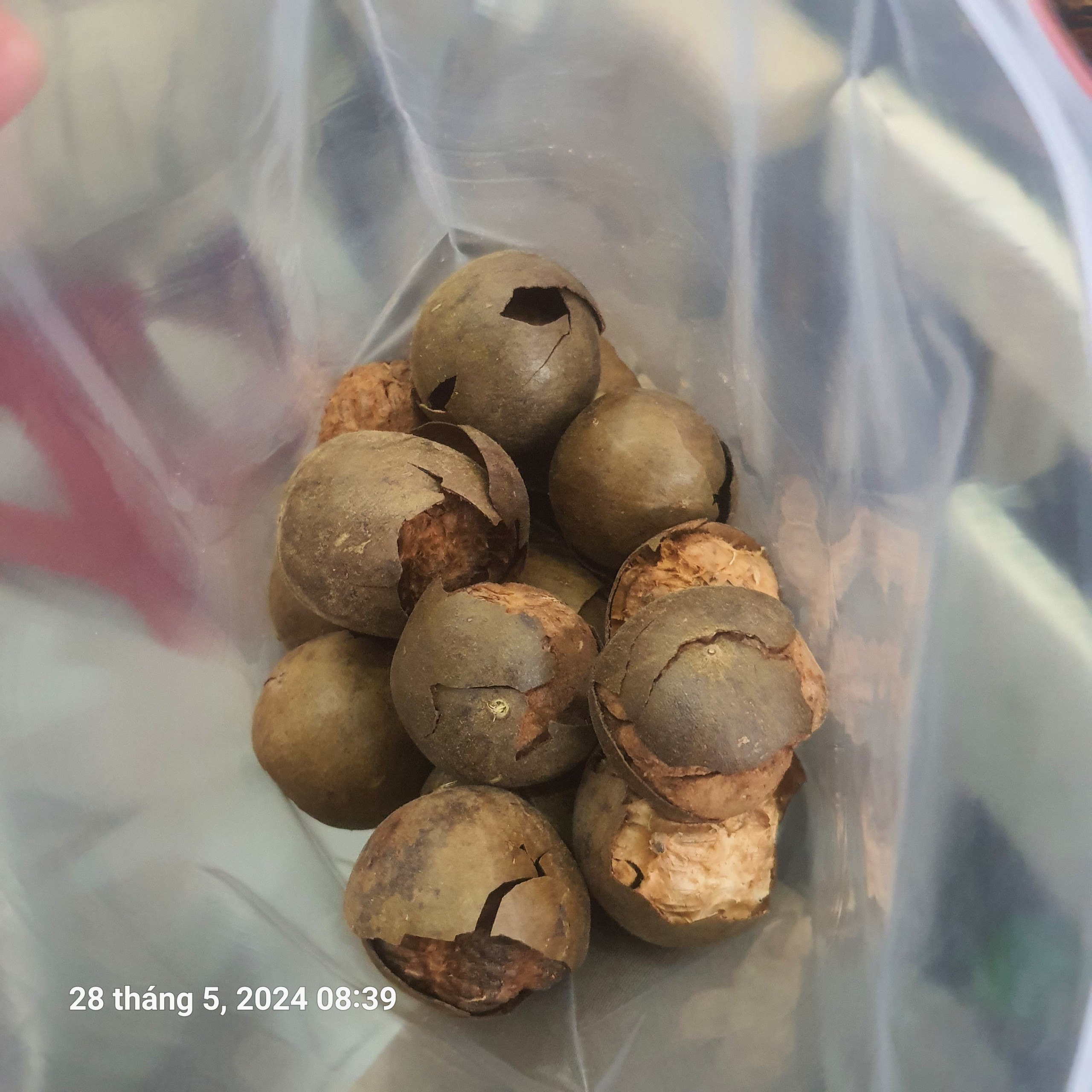 La hán quả (bể) gói 500g