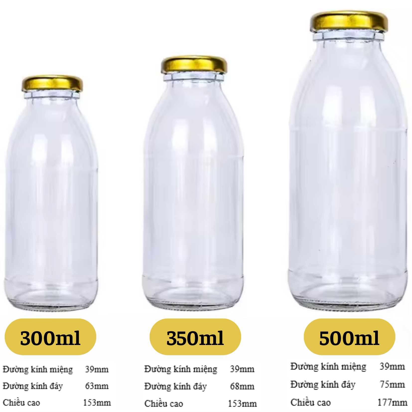 Chai thủy tinh tròn 300ml 350ml 500ml