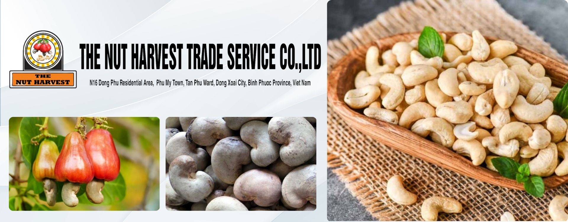 Binh Phuoc cashew nuts