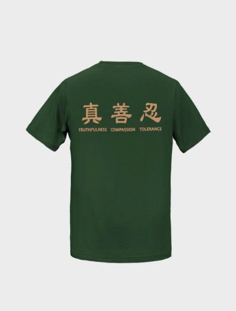 Áo phông cộc tay người lớn 13XS - Xanh  rừng - XS