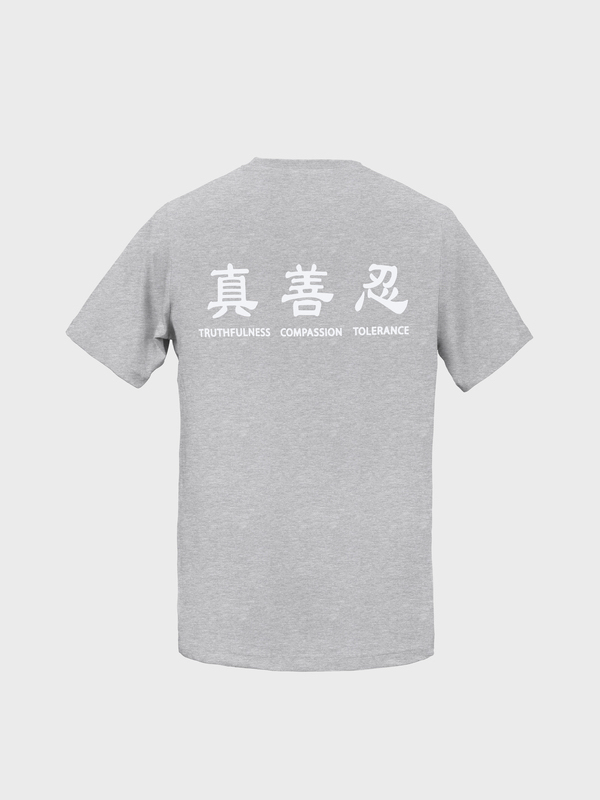 Áo phông cộc tay người lớn - Xám