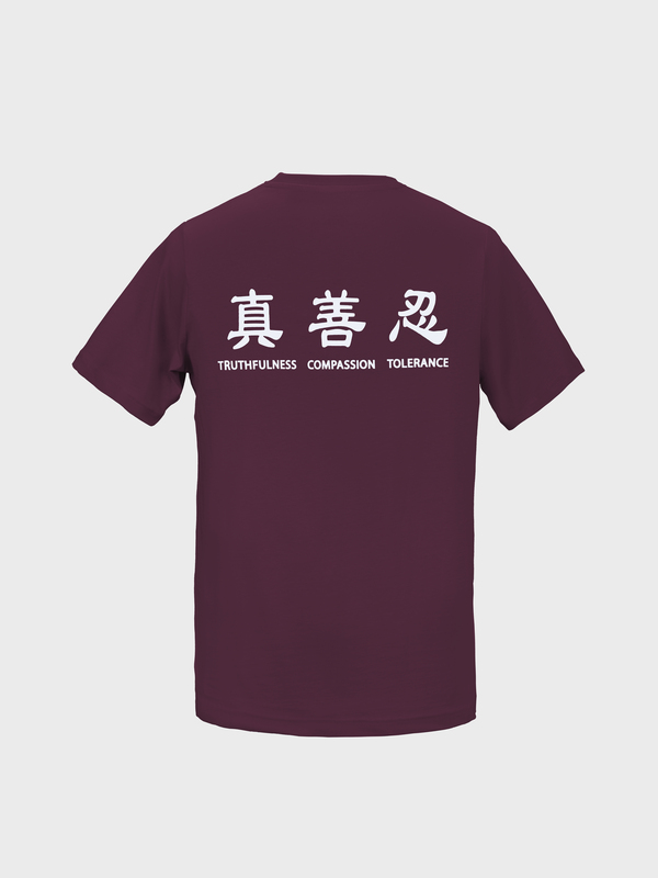 Áo phông cộc tay người lớn - Hạt dẻ