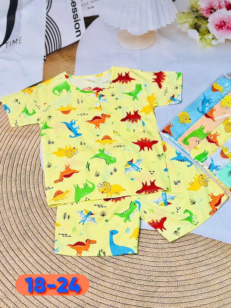 B526-Bộ lanh cộc tay bé trai S18/24 (15.18kg)