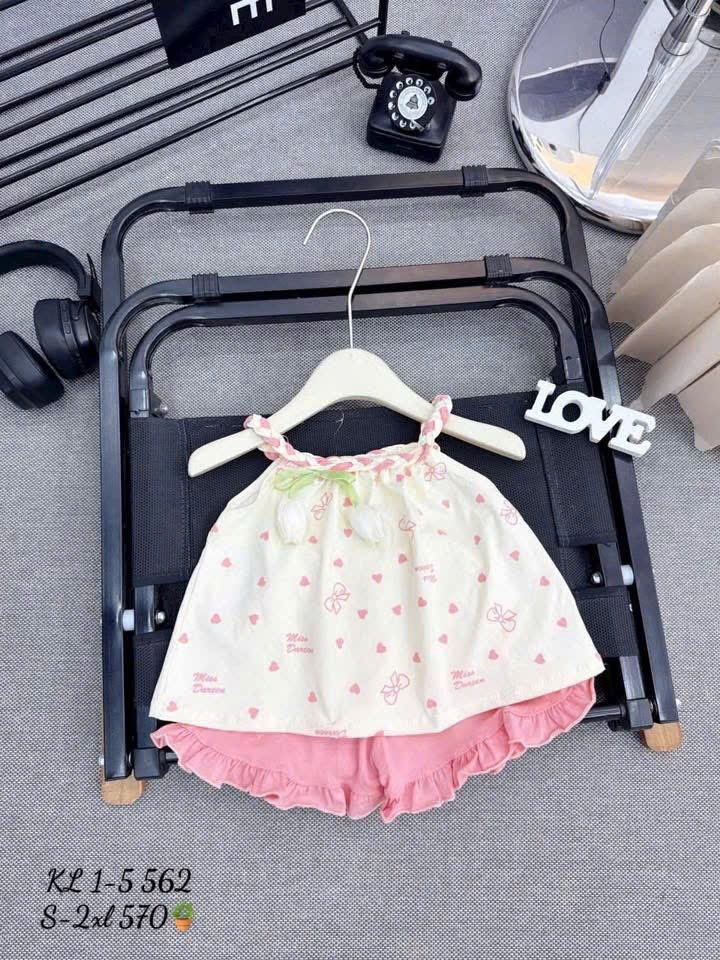 G818-Bộ dây tết hoa Tulip (06.24kg)