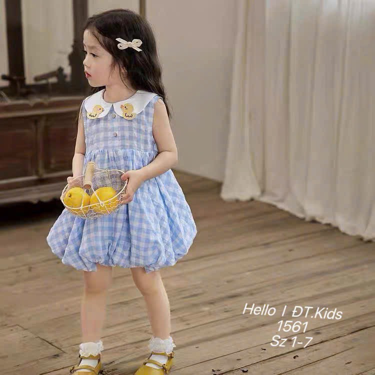 V410-Váy caro vịt thêu dáng bí (09.22kg)