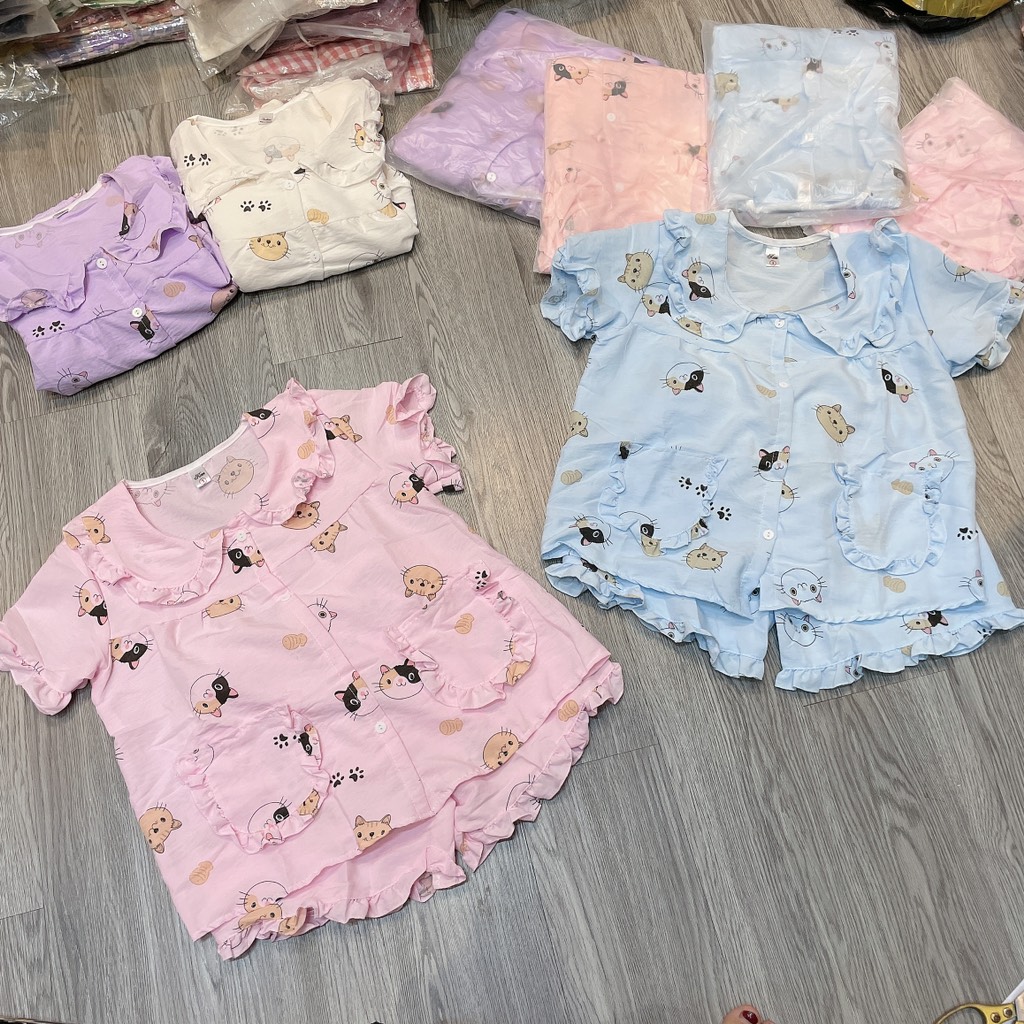 B522-Bộ pijama mèo đũi hàn Đại (20.32kg)