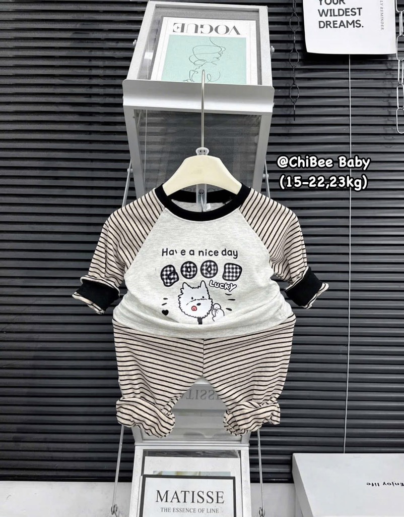 T490-Bộ zip dài kẻ chó bé trai (16.23.561)