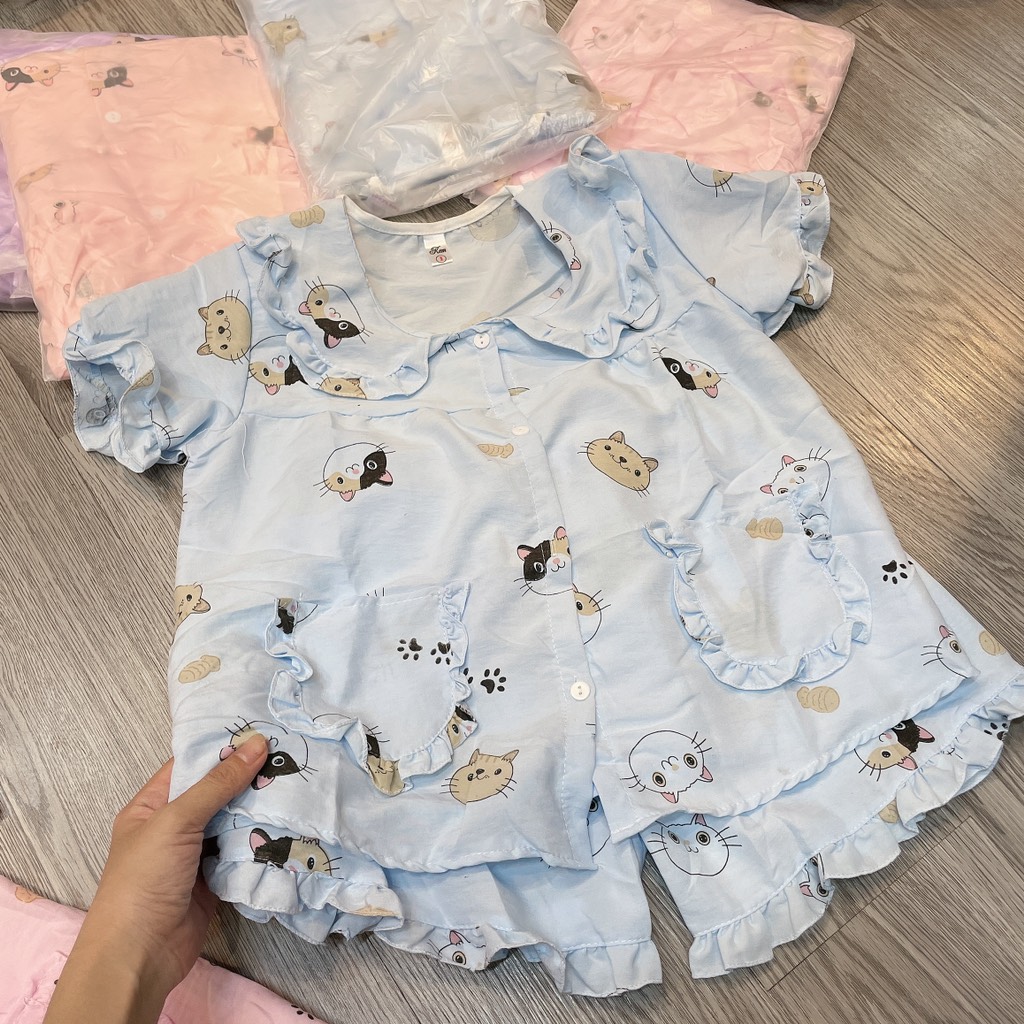 B522-Bộ pijama mèo đũi hàn Đại (20.32kg)