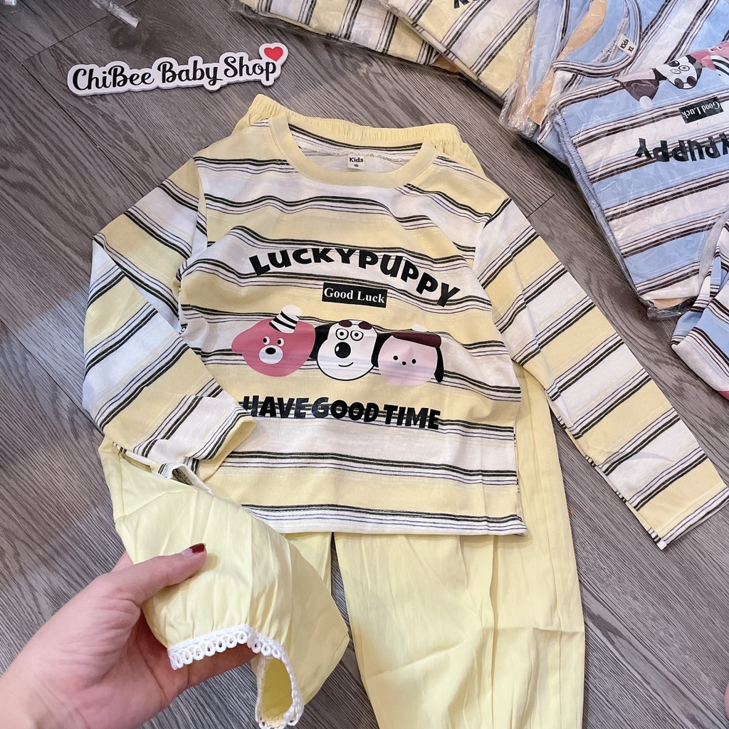 G962-Set giấy kẻ Lucky quần gió (16.23kg)