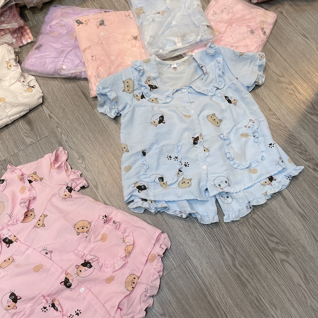 B522-Bộ pijama mèo đũi hàn Đại (20.32kg)
