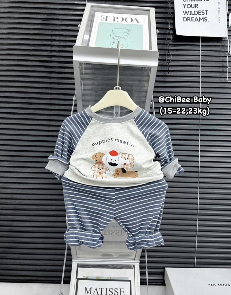 T490-Bộ zip dài kẻ chó bé trai (16.23.561)